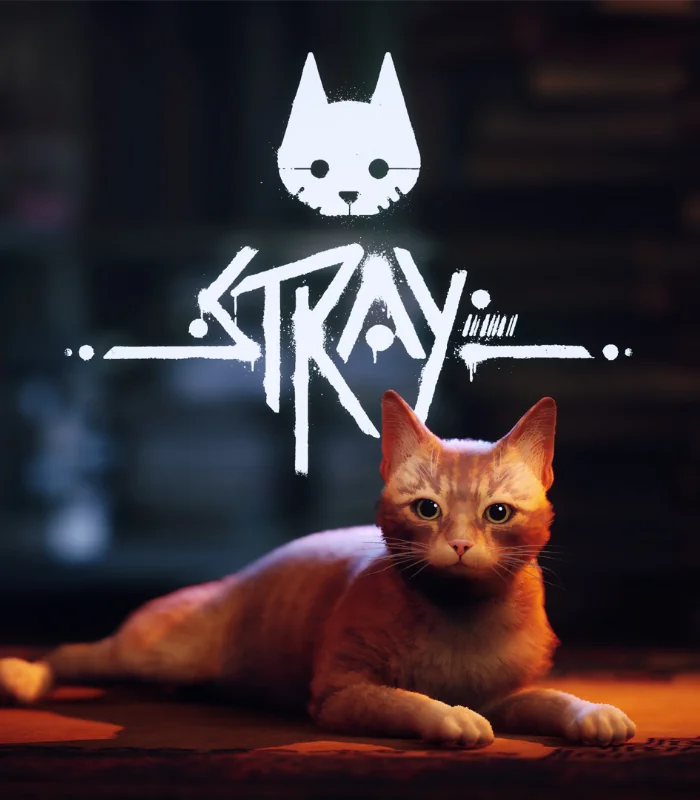 Stray